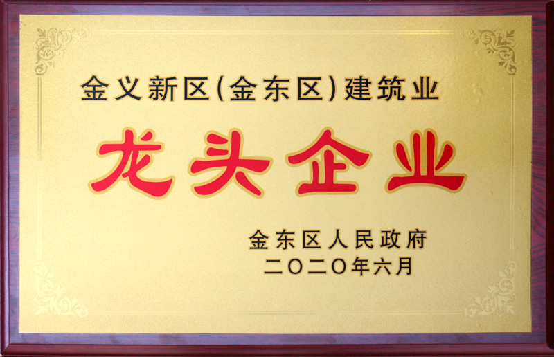 2020年 龍頭企業